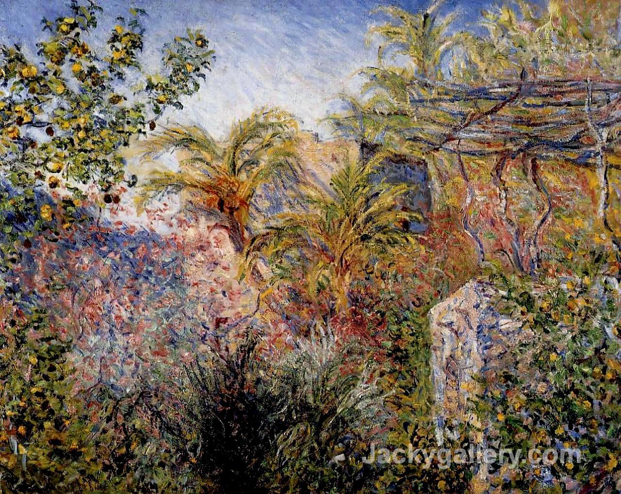 The Valley of Sasso, Bordighera by Claude Monet paintings reproduction